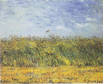 Graanveld met klaprozen en leeuwerik door Vincent van Gogh